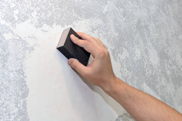 Dehumidification Services in Belleview, FL