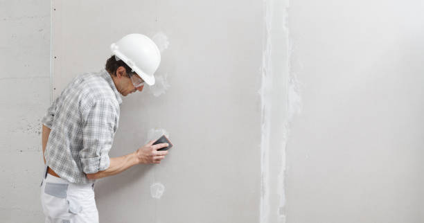 Best Comprehensive Air Testing for Mold Contaminants  in Belleview, FL