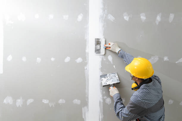 Best Commercial Mold Inspection  in Belleview, FL