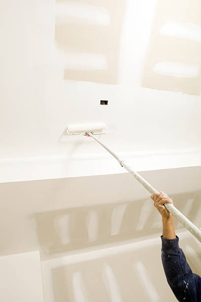 Best Biohazard Mold Removal  in Belleview, FL